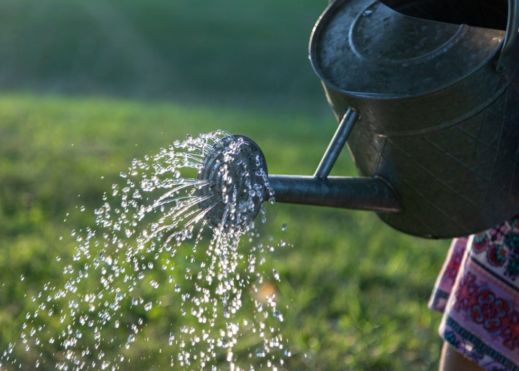 Water being poured from a watering can, symbolising nurturing leads over time